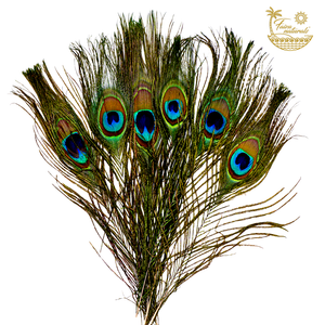 Peacock Feathers for Smudging