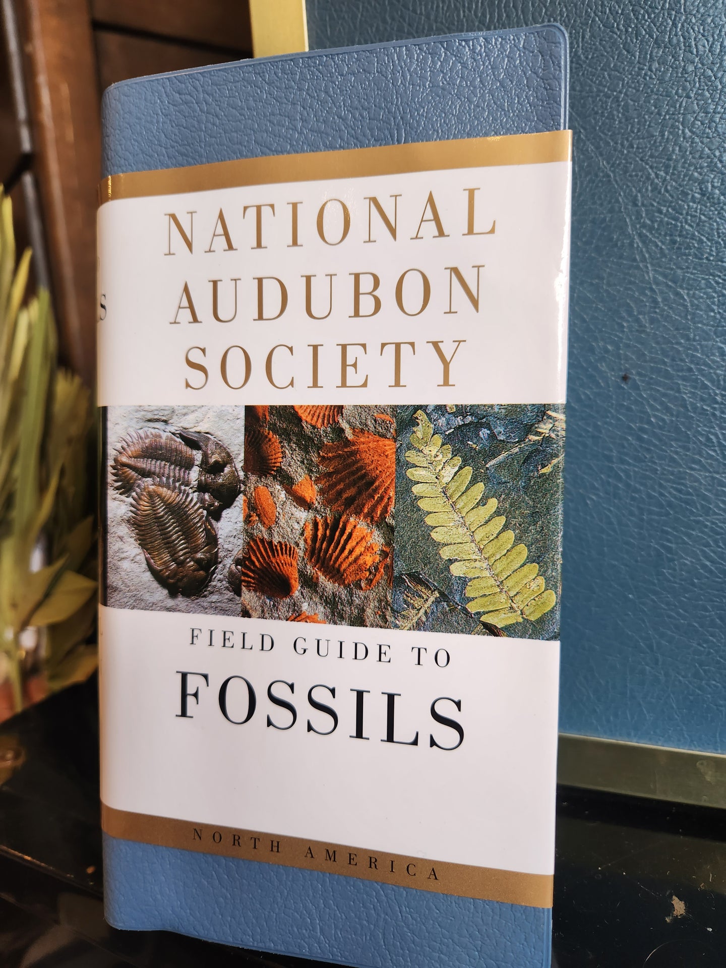 Audubon Fossil Guide