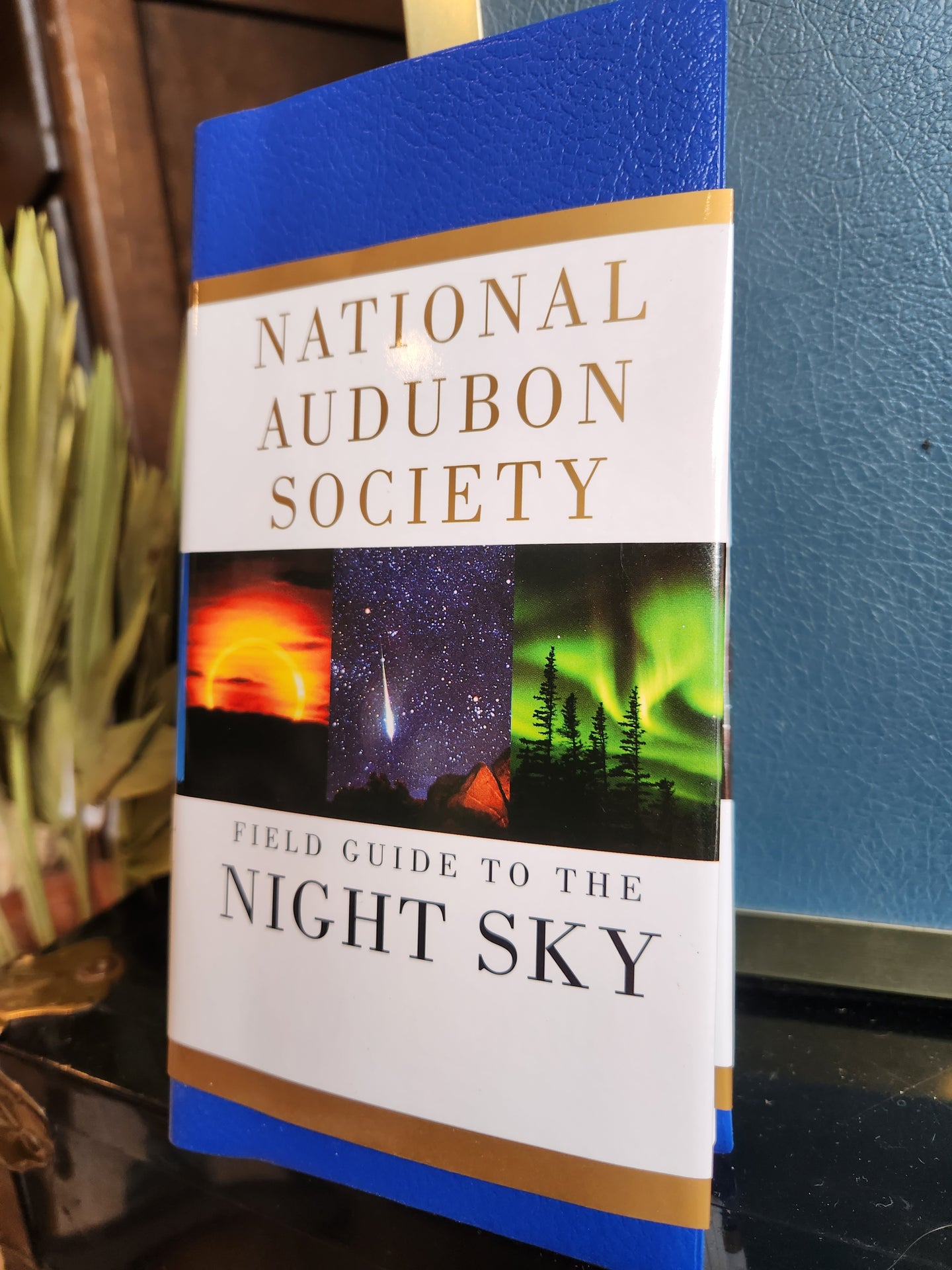 Field Guide To The Night Sky