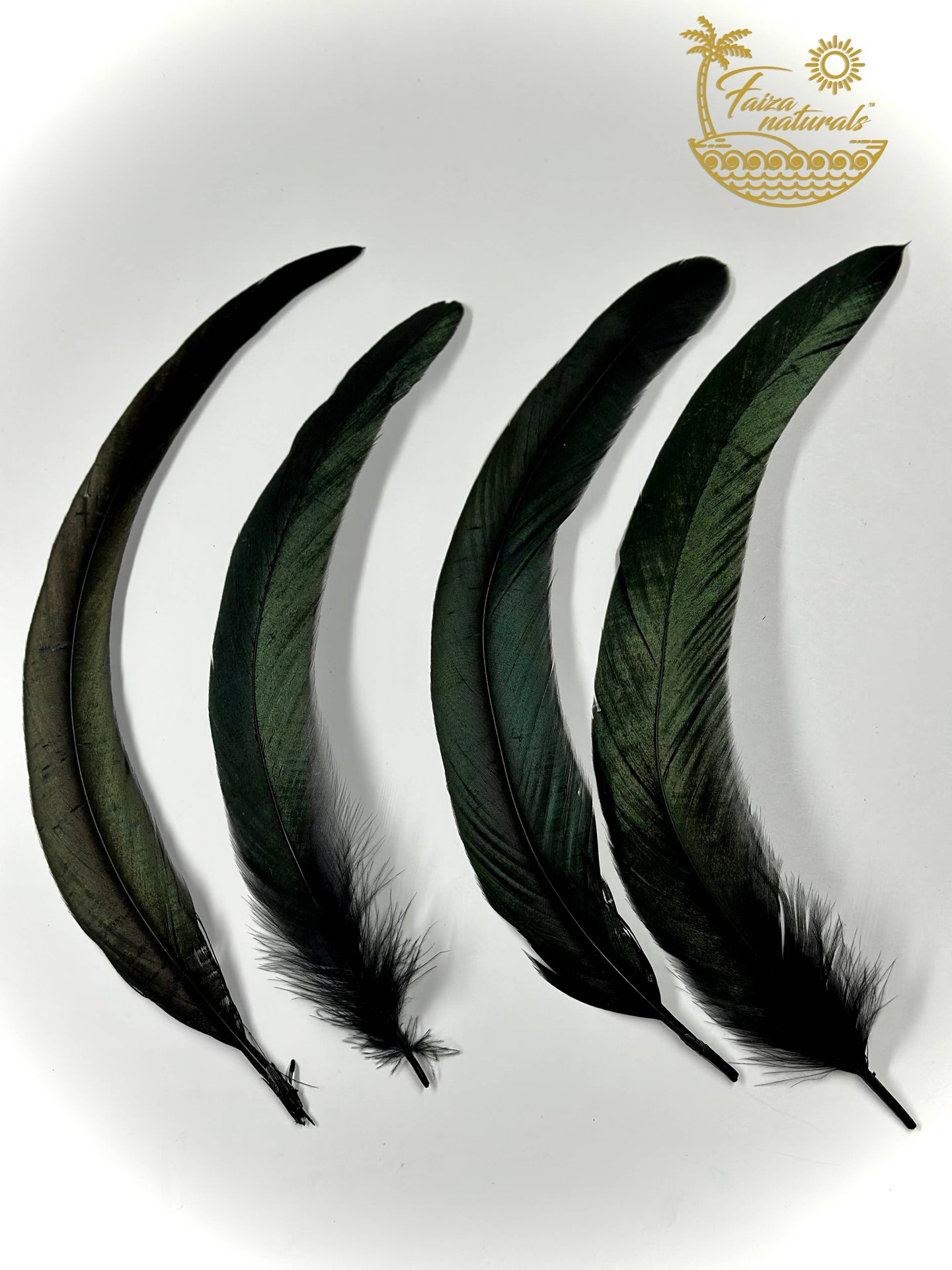 Crow Feathers for Smudging