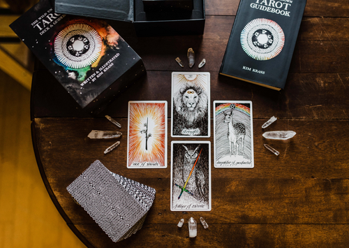 The Wild Unknown Tarot Deck