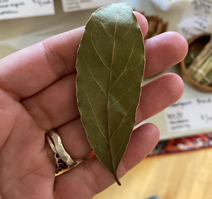 Bay Leaf