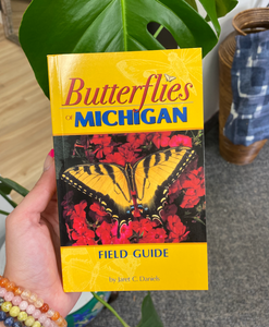 Butterflies of Michigan