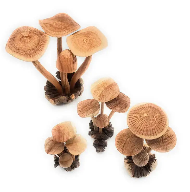 Hand Carved (PRE-ORDER) Extra Large Wooden Mushroom