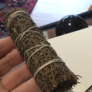 Thyme bundle